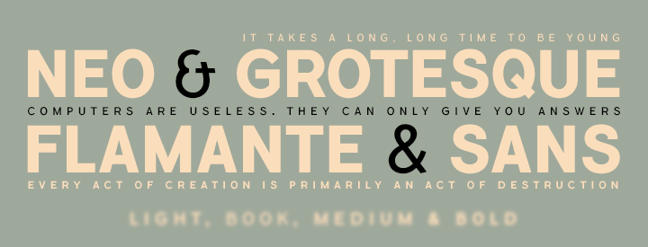 Special Discount: Flamante Sans Family PACK 30% OFF from $18 